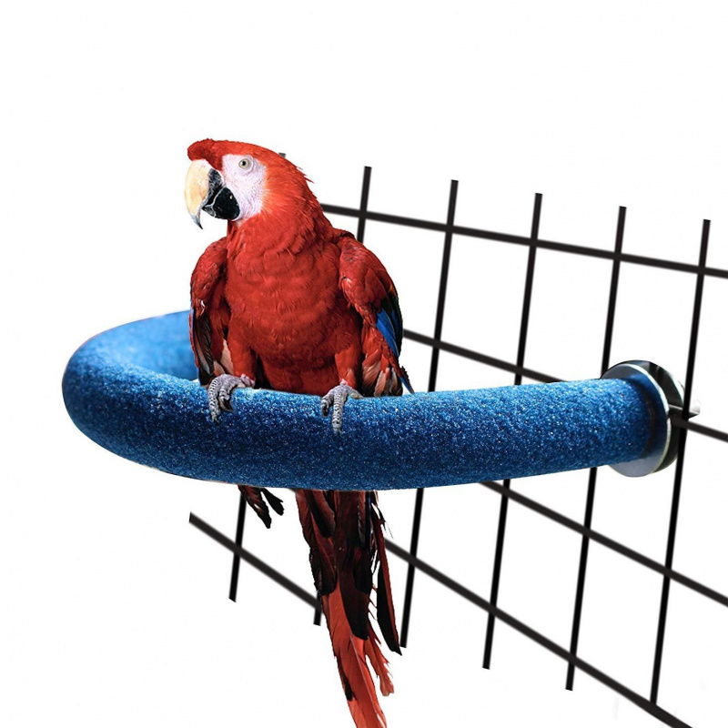 Sanding Stick Set - Parrot Sanding Stick Toy Bird Claw