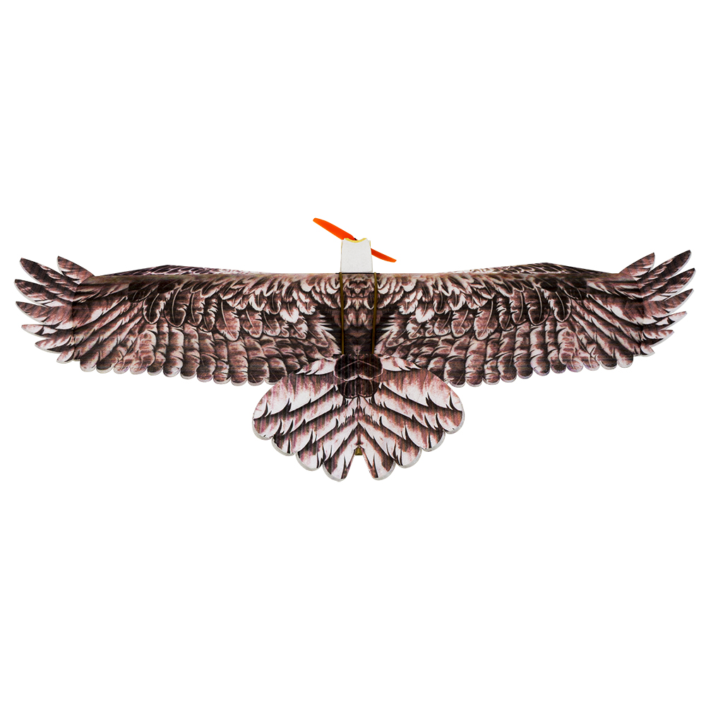 DW Hobby Eagle II EPP Airplane - Model Kit Motor 评论和价格